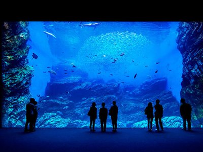 🐠 센다이 바다의 숲 수족관(센다이 우미노모리 스이조쿠칸)